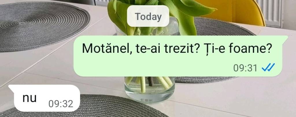 Adolescentul care îl are pe ”NU” drept bro